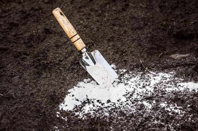 کربنات کلسیم خاک مناسب اصلاح بستر کشت محصولات